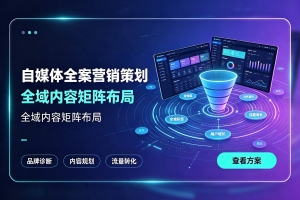 自媒体全案营销策划